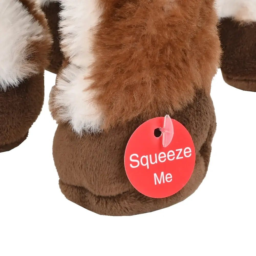 Preview /694a6c404409a8000a2a8ae9/2026/01/09/product-img-6960d73b6f539c4f6d59bb0d.png